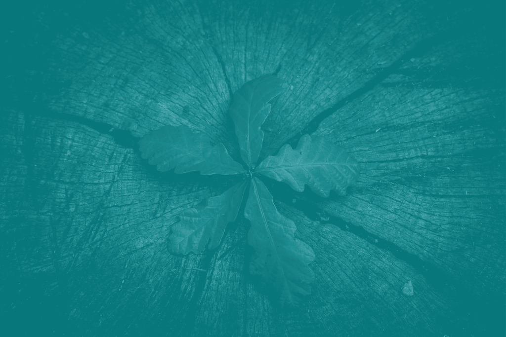 sucesion en la empresa familiar somos stewards